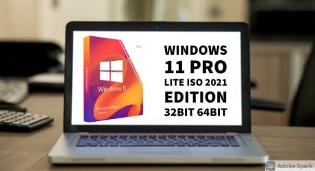 Windows 11 Pro Lite ISO 32bit/64bit Download 2024 (1GB)
